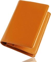 Item thumbnail for item aec78d41-fbc5-4b5d-949b-3672b1e0f5cc