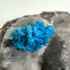 E14870】オーシャンジャスパー Ocean Jasper ペブル 天然石