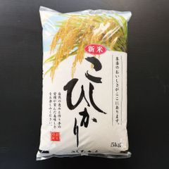 令和5年 千葉県産 新米 低農薬コシヒカリ精米5kg