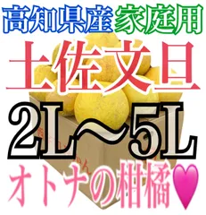『家庭用』オトナの味！高知県産 土佐文旦『爽やかな甘みと程良い苦み』2L〜5L混合 7.5kg(箱込)『高知ブランド果実』