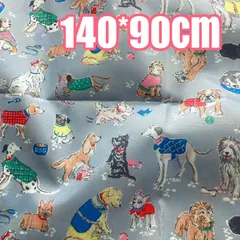 ロンドンストリート キャスキッドソン 生地 ハンドメイド かわいい 素材 ナイロン