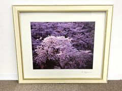 【na-00092】丹地保堯　額　作品　アート作品　桜　直筆サインあり　写真画