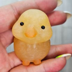 オレンジカルサイト✨ひよこ🐤カービング✨ - メルカリ