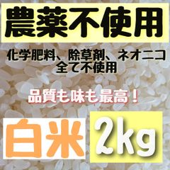 【綺麗な大粒揃い】農薬不使用 化学肥料不使用 除草剤不使用 ヒノヒカリ 白米  2kg
