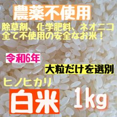 さくらの白米  【大粒だけを選別】農薬不使用  化学肥料不使用  除草剤不使用  ヒノヒカリ  白米  さくら