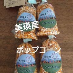 美瑛産・はじける！香ばしいポップコーン【100g×4】