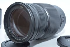 250313★極上★パナソニック(Panasonic) 超望遠ズームレンズ マイクロフォーサーズ用 ルミックス G VARIO 100-300mm / F4.0-5.6 / POWER O.I.S.