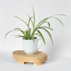 飾り台　たまご型　　低い小型