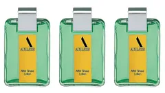 アウスレーゼ(AUSLESE) アフタ‐シエ‐ブLNA＜J＞【3個セット】