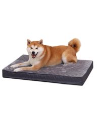 Item thumbnail for item e99c82c1-06b0-4268-ad14-b70817b87656