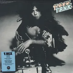 ★激レア T-REX インタビューピクチャーレコード EP ☆激レア T-REX インタビューピクチャーレコード EP レコード