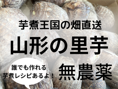 【芋煮王国の畑直送】　里芋１kg　山形県酒田市産　【ちょうど良い！２〜3品分】