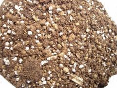 プロ仕様 多肉植物の土 業務用 5L