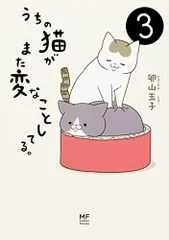 全商品オープニング価格 特別価格】 猫山虎次郎専用 テンリュウ