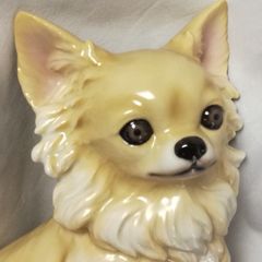 カムイピリカ800g 一生一度は与えたい神フード - メルカリ
