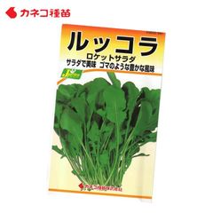 ルッコラ 種 家庭菜園 畑 プランター ゴマのような豊かな風味 業務用 手軽に作れる 手間いらず イタリア料理 サラダ 肉料理 付け合わせ におすすめ ロケットサラダ 生産地 イタリア