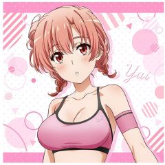 [중고] 쿠션 커버 · 베개 케이스 유이가하마 유이 (비치 밸리) 신작 쿠션 커버 [역시 내 청춘 러브 쌀은 잘못되어있다. 완]