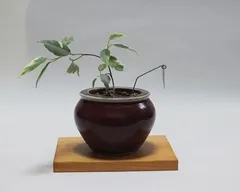 ☆茶台　花台　自然木　欅製☆ 花台 木製 床の間 和風 飾り台 欅 敷板 無垢 盆栽棚 日本製 盆栽
