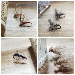 エルクデラックス✩ELK✩DELUXE✩エレキギター✩ケース有り