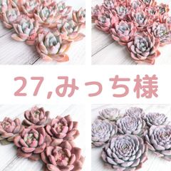 27,みっち様