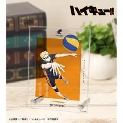 【新品・公式】劇場版ハイキュー!! ゴミ捨て場の決戦 月島 蛍 A6アクリルパネル 公式グッズ colleize