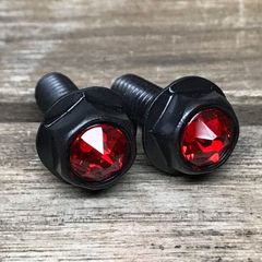 黒ステンレス＆赤クリスタルガラス 高耐久性 スワロフスキー ナンバーボルト 2本