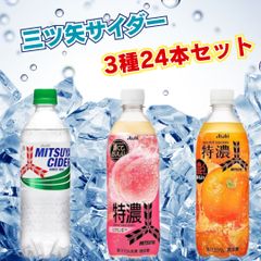三ツ矢サイダー3種各8本