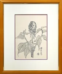 ☆坂本直行☆「 からまつそう 」ペン画　インチサイズ　未使用！ 2025年最新】坂本直行 絵の人気アイテム - メルカリ