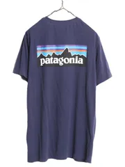 【お得なクーポン配布中!】 19年製 パタゴニア 両面 プリント 半袖 Tシャツ メンズ L / Patagonia アウトドア P6 スリムフィット バックプリント オーガニックコットン