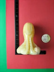 津軽凧 中野敬造作 ≪日本職人名工会登録≫