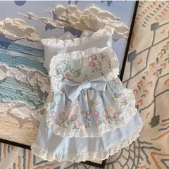 Mサイズ⭐︎犬・猫・兼用⭐︎水色の可愛いエプロンドレス⭐︎(72)