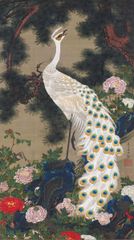 伊藤若冲　動植綵絵　老松孔雀図　約56×31.1cm 【追跡あり】大サイズ　複製ポスター　クジャク　孔雀　花鳥画　和モダン　インテリア　アートポスター　名画　日本画　Jakuchu Ito