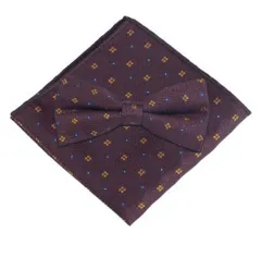 蝶ネクタイ　ポケットチーフ　2点セット　ストライプ柄　ドット柄　花柄　風　ブラウン色　ゴールド　シルバー　結婚式　発表会　パーティー　イベント　卒業式　入社式　入学式　ダンスパーティー　バーテンダー　ワンタッチネクタイ　スーツ　ワイシャツ　　小物　格安