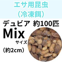 【冷凍餌】 冷凍デュビア Mixサイズ　約100匹入り　　爬虫類　両生類　エサ　餌　魚類　哺乳類　レオパードゲッコー　フトアゴヒゲトカゲ　カエル　蛙　トカゲ　ヤモリ　イモリ