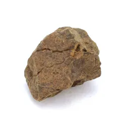 石質隕石　コンドライト　ボタン型磁石＋説明付（Ｙ）