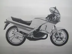 美品(๑•́ω•̀๑)RG125ガンマ スクリーン nf11f 1型 1985年製 美品(๑•́ω•̀๑)RG125ガンマ スクリーン nf11f 1型 1985年製