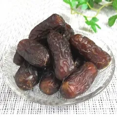 現物「ナツメヤシ」10号 m33731814846_1.jpg?1757384652
