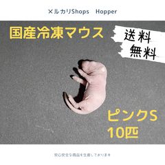 国産冷凍マウス ピンクS 20匹（送料無料一部地域発送不可) - メルカリ