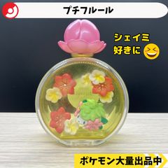 ✓ポケモン リーメント イーブイ PETITE FLEUR プチフルール 希少
