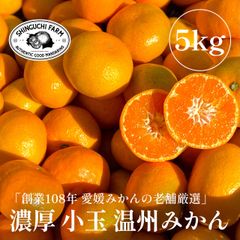【予約】愛媛県川上産 小玉 みかん 5kg【送料無料】「11月上旬より順次発送」農家直送 創業108年 愛媛みかん の老舗 新口農園