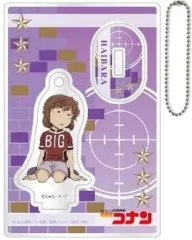 【中古】アクリルスタンド・アクリルパネル 灰原哀 「名探偵コナン トレーディングミニアクリルスタンドK」