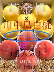 予約商品　８月下旬～9月上旬にかけ順次発送予定。　贅沢な詰め合わせ♪ 至極の黄金桃×王様・川中島白桃 アソート！食べ比べに♪