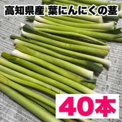 【農家直送】茎 高知県特産‼️葉ニンニク 茎 40本 即購入OK  ja