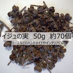 イジュの実　50g　リースなどのハンドメイド材料　ドライフラワー