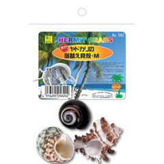 Item thumbnail for item 06c52ab3-c7a2-432f-8f99-192af8832d22