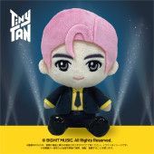 BTS RM TinyTAN 뿌리누이 봉제인형 앉아 사이즈 2934