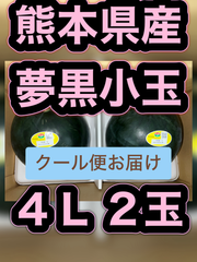 北海道沖縄離島追加送料無し　熊本県産高糖度すいか　夢黒小玉西瓜　4Lサイズ2玉　クール便