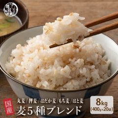 新米前ラスト】2025年 ハツシモ 10kg 一等米 農家直送 玄米/精米可