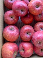 減農薬栽培山形県東根市産王道のふじりんご病み付きりんごお試しアレ❣️2k箱満タン