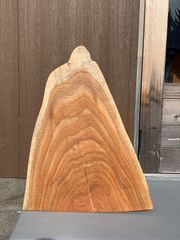 センダン 栴檀 一枚板 68cm 板材 木材 [544]